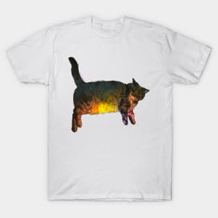 Rainbow Belly T-Shirt